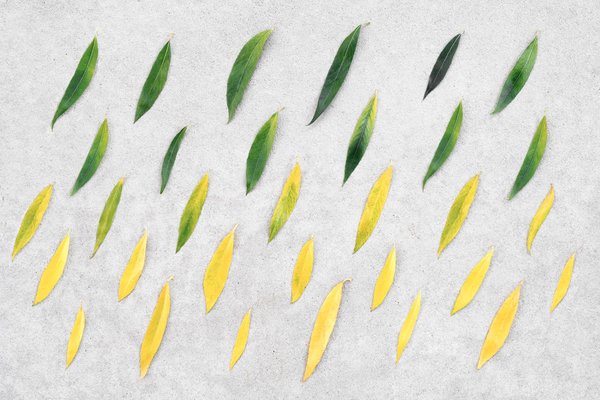 les actualités concernant les nouveaux projets de développement durable et d'énergies renouvelables